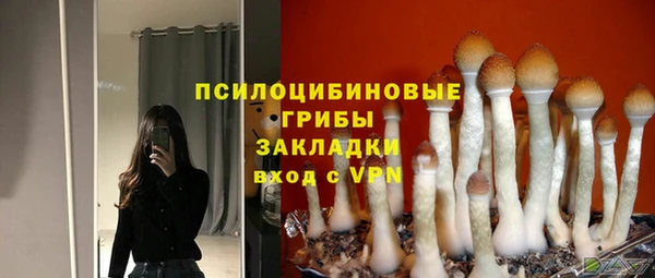 первитин Тавда