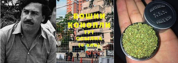 первитин Тавда