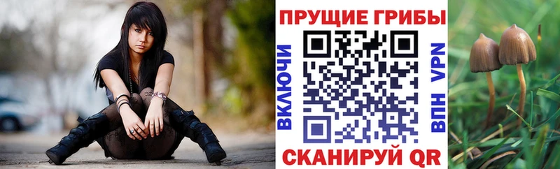 Купить  Магнитогорск  Псилоцибиновые грибы Magic Shrooms 